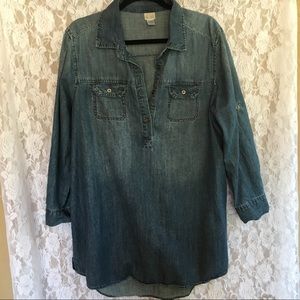 Canyon River Blues Denim Dress